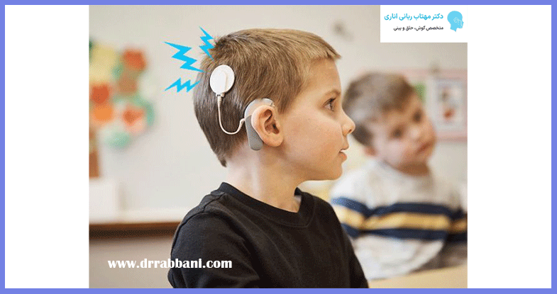 قیمت کاشت حلزون